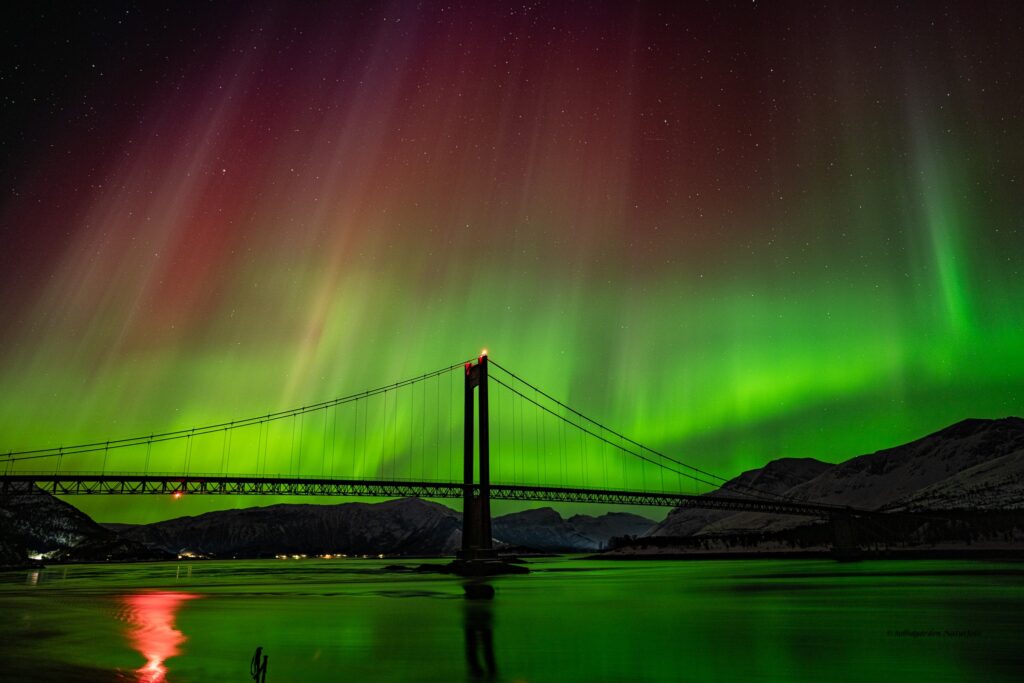 Nordlys, Efjordbrua, Efjord, Aurora polaris, polarlys, northern lights, aurora borealis